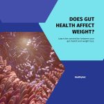 Gut health and weight - Exploring the connection between gut health and weight management