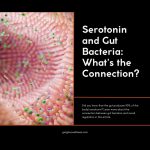 Illustration of gut with bacteria producing serotonin.