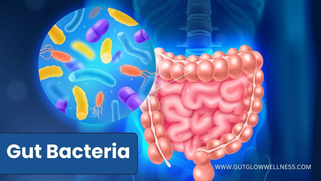 Microscopic image of diverse gut bacteria.