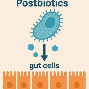 Illustration of postbiotics interacting with gut cells to strengthen the microbiome and enhance immunity.